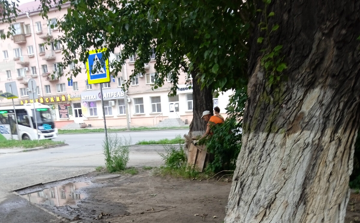 Припрятано два разломанных поддона,  шесть обломавшихся веток, мешки с мусором и                   рабочая куртка с жилеткой, естественно жёлтой.   