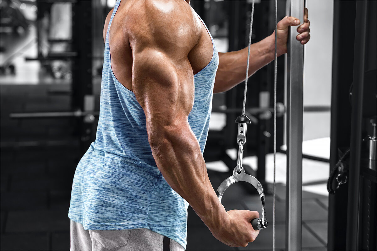 Bicep одежда