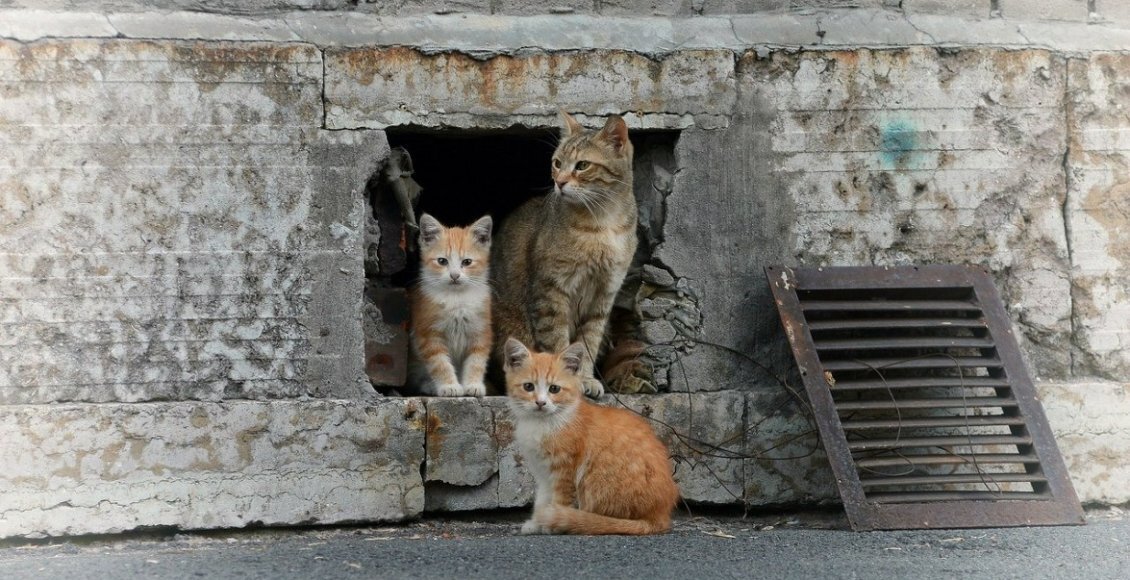    Фото: fotokto.ru