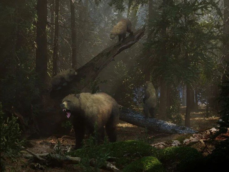    Российская студия делает игру «Лукоморье» [ВИДЕО]