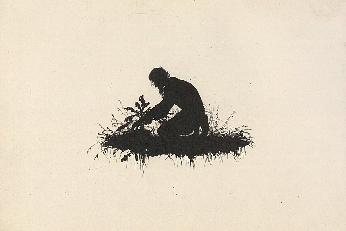 Елизавета Бём. Репка