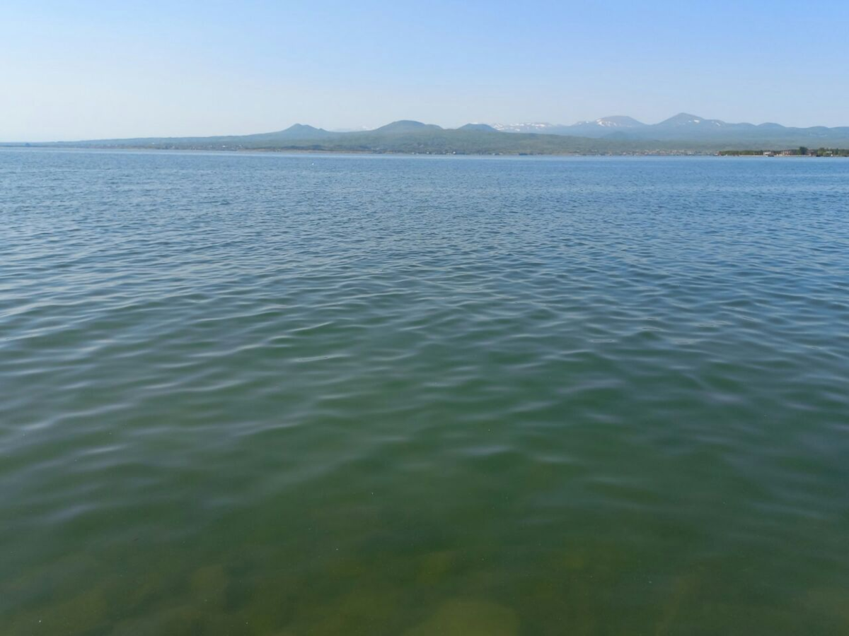 Фото автора.