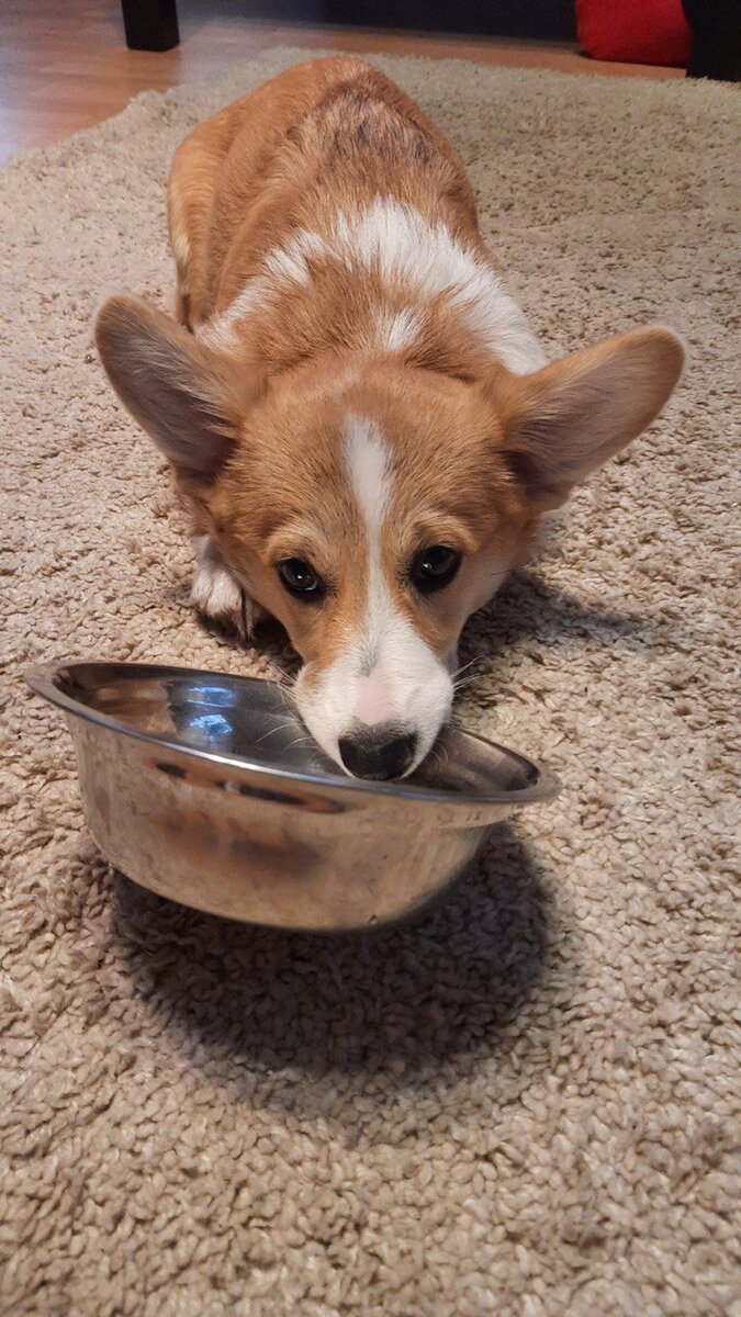 Бедный, голодный ребёнок) 