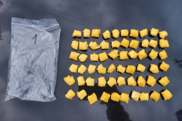    Фото: пресс-служба УМВД по Томской области