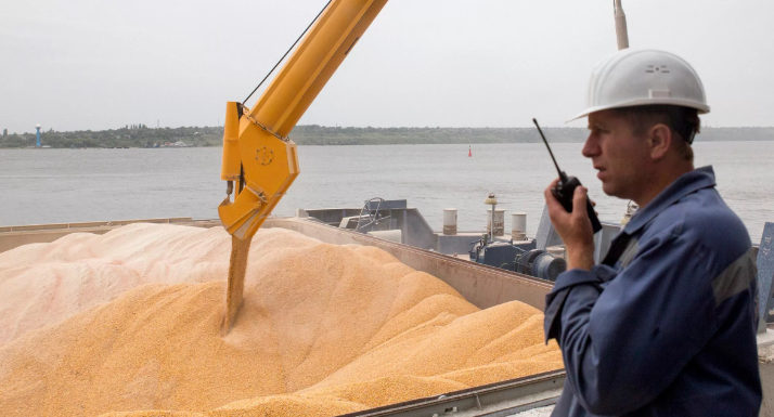 фото с сайта exp.idk.ru