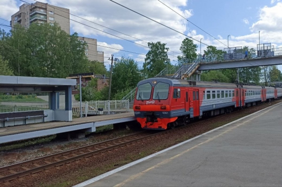    На железной дороге в Петербурге снова подожгли релейный шкаф