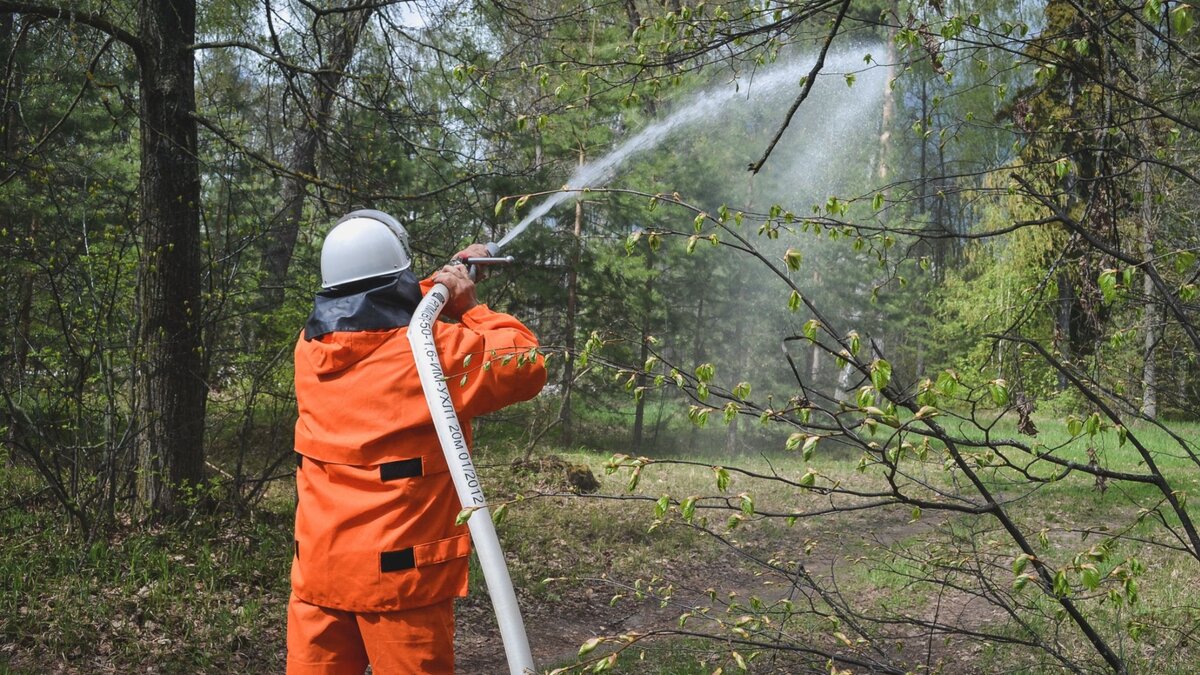     Ранее огонь удалось локализовать на площади 47 га, сообщает пресс-служба МЧС по РБ