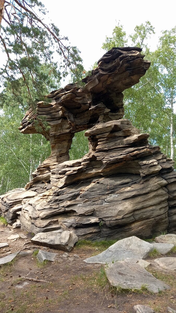 Крылья дракона