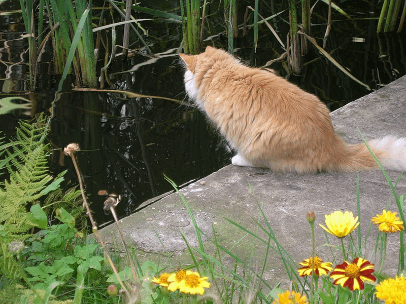 Источник: Яндекс картинки