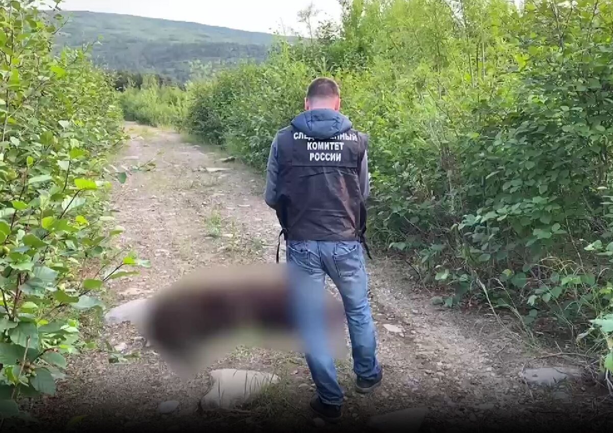 В приморье медведь растерзал двух мужчин фото