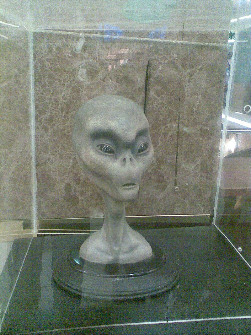 Макет головы грея