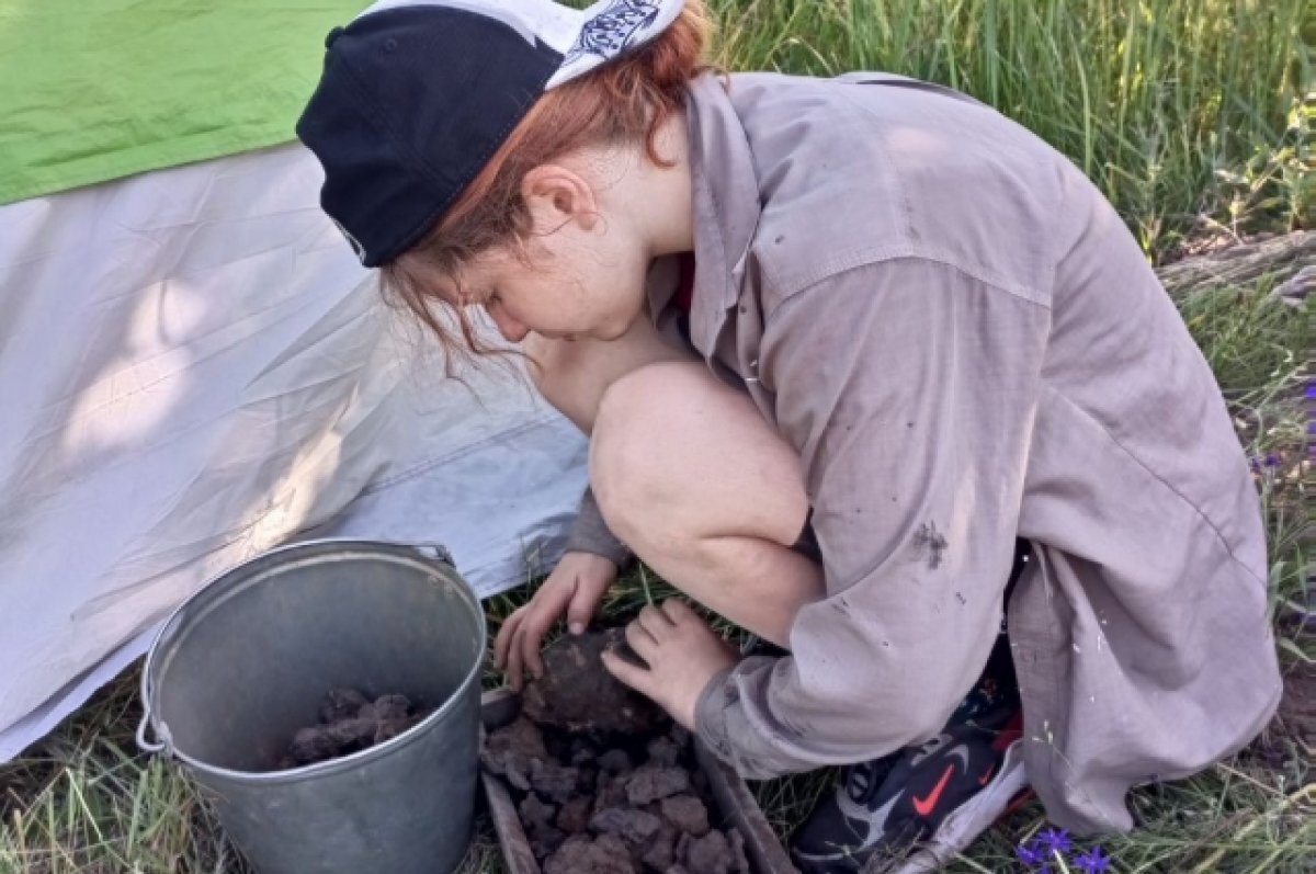    Археологи возобновили изучение поселения викингов под Новосокольниками