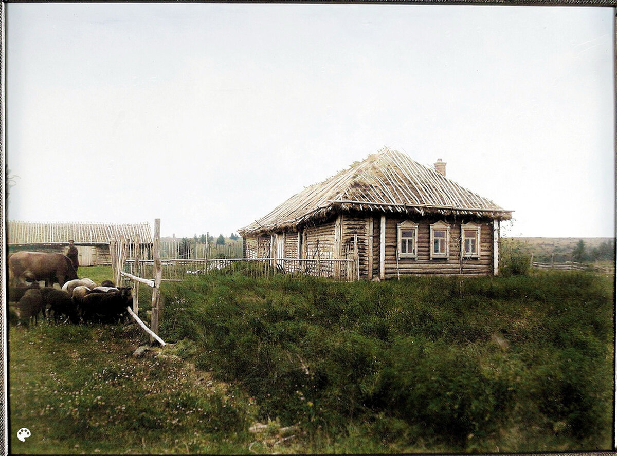 История цветная фотография