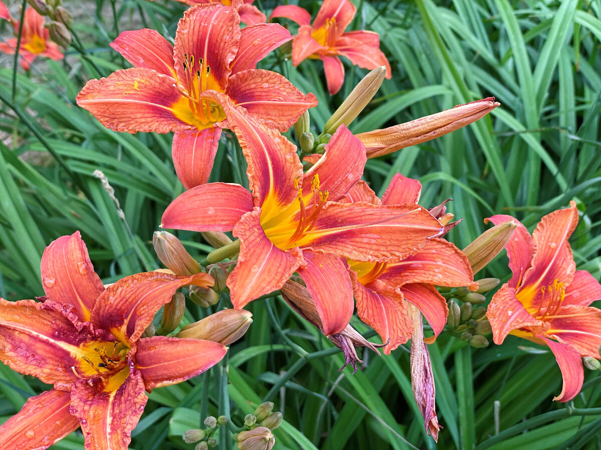 Июль 2023г. в Москве