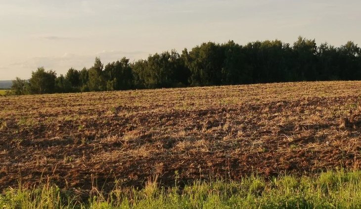    Подготовка паров под урожай 2024 года в Забайкалье на 40% превышает прошлогодний уровень