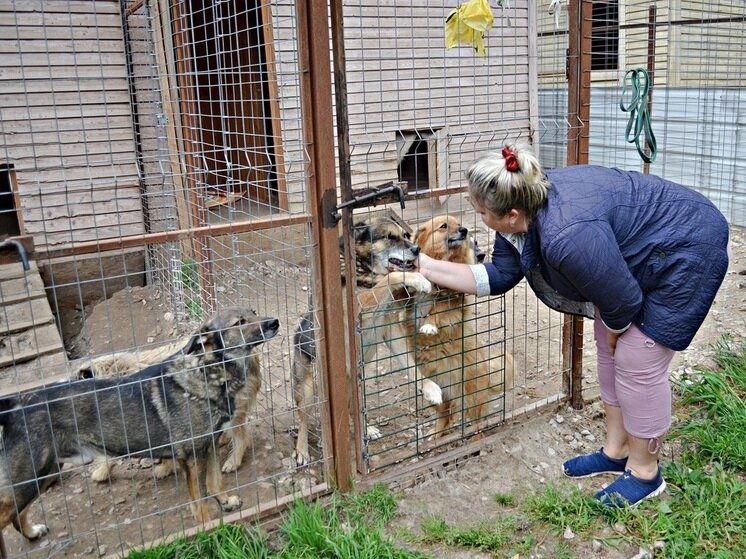     Фото: пресс-службы УФССП по Калужской области