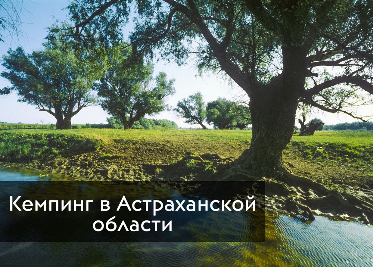 Источник Canva.com