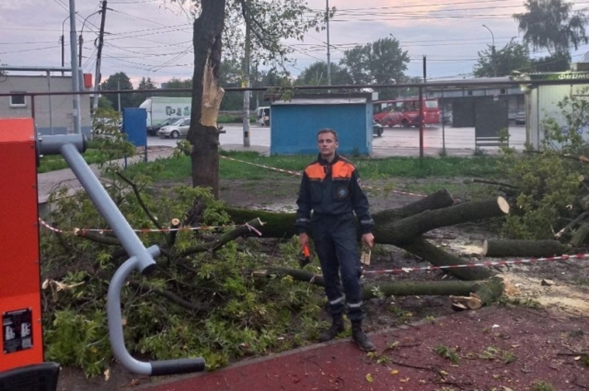    В Рязани на детскую площадку рухнуло дерево
