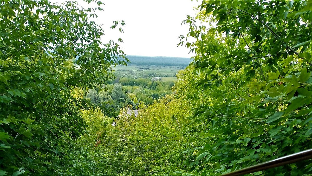                                    Дорога домой. Фото автора канала.