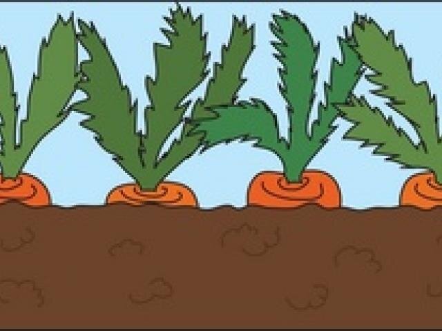 Из открытых источников