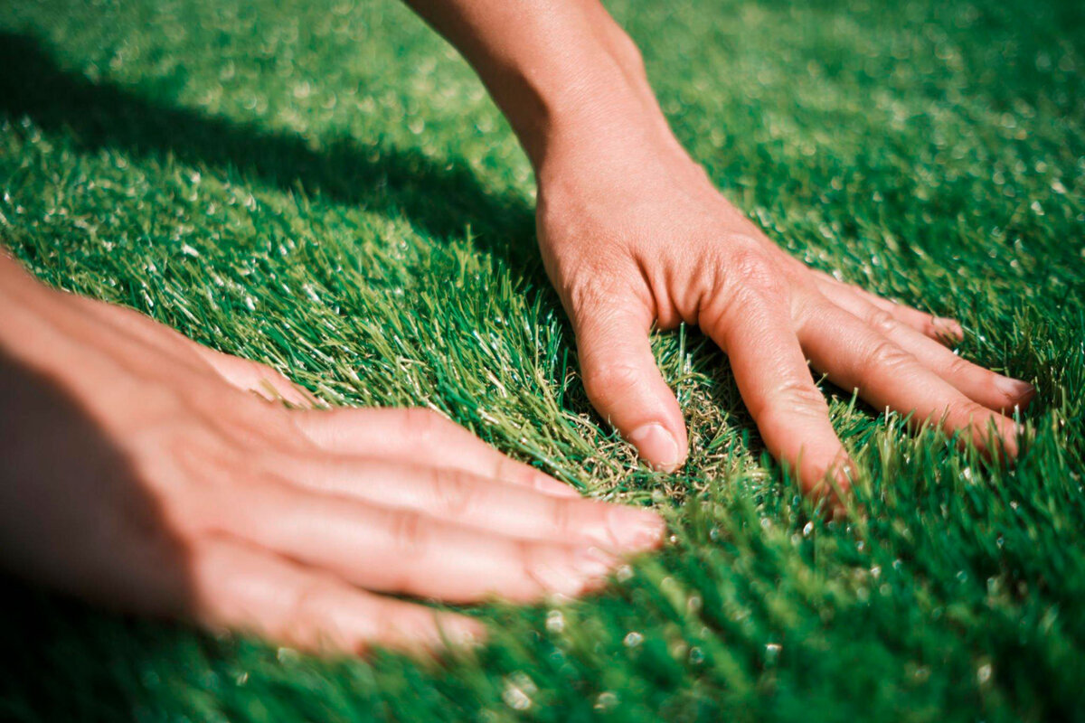 Touch the grass. Газон после стрижки. Уход за газоном. Подкармливаем газон. Как подкормить газон