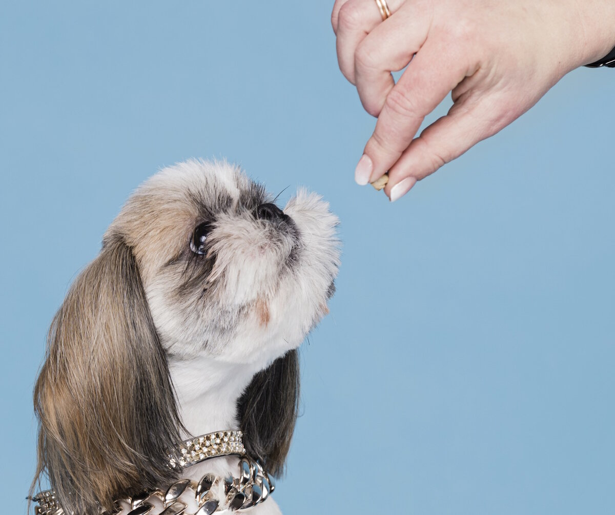 Фото: freepik.com