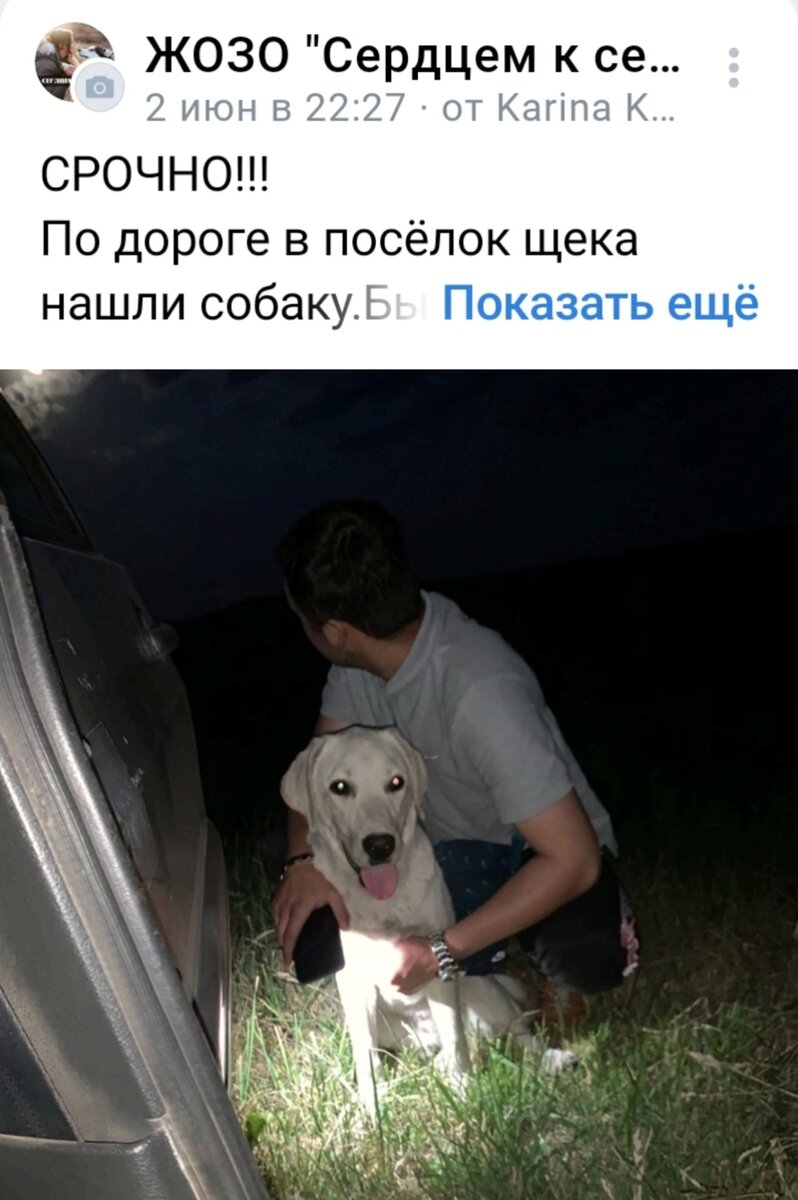 История Басика начилась вот с этого поста