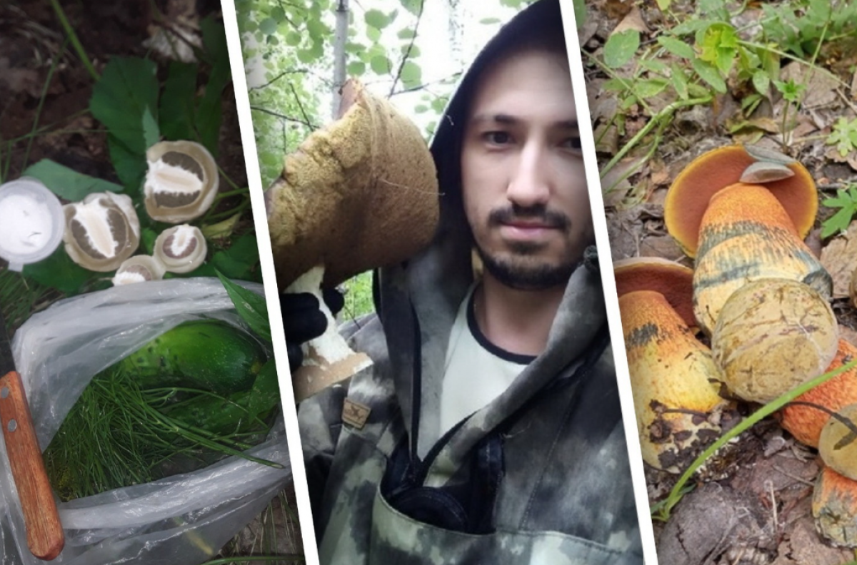    Опубликованы фото необычных грибов, найденных в Новосибирской области