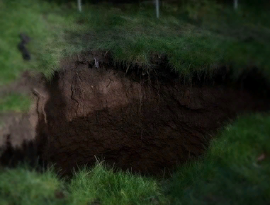 Картинка из общего доступа. © 2023 Любое копирование материала без согласия автора и прямой ссылки на канал запрещено.