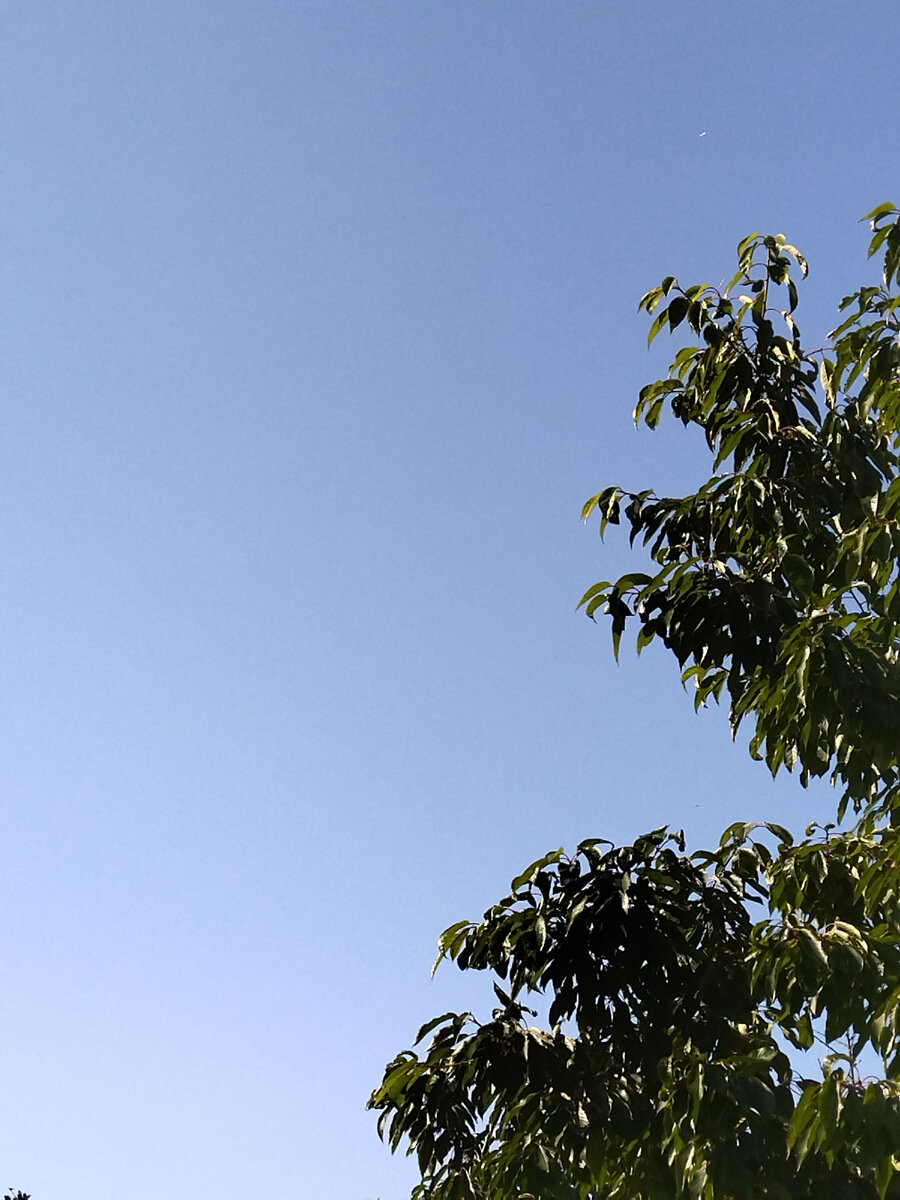 Не думала я, что буду против дождя | Домик в деревне | Дзен