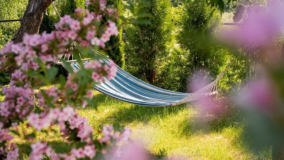 ShutterStock/Fotodom.ru