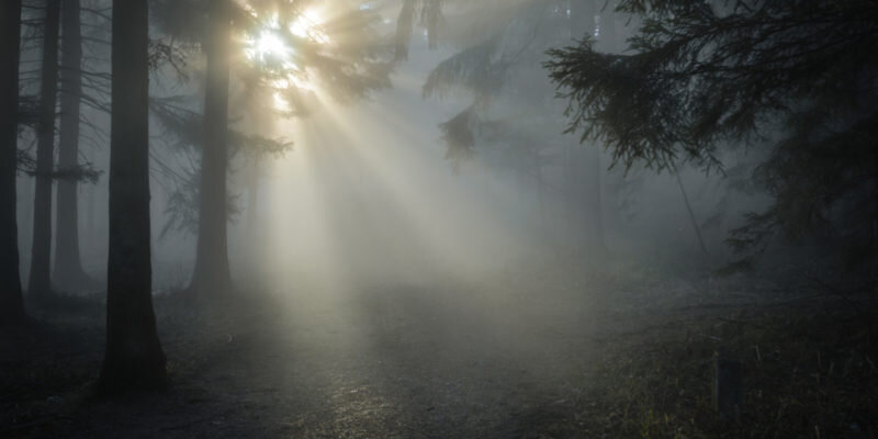 Фото: pxhere.com