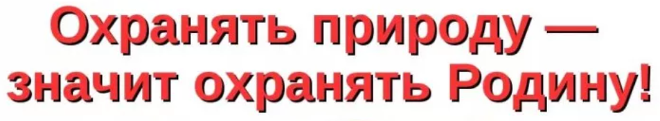 Проект могут использовать в своей работе библиотечные работники.