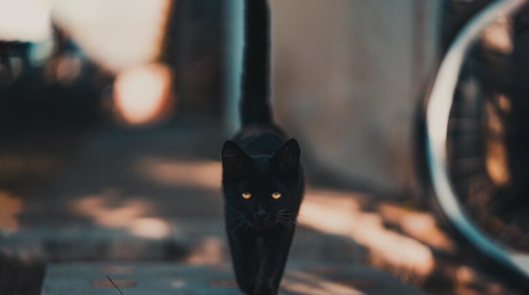    В некоторых странах в этот день отменяют операции. Фото: pexels