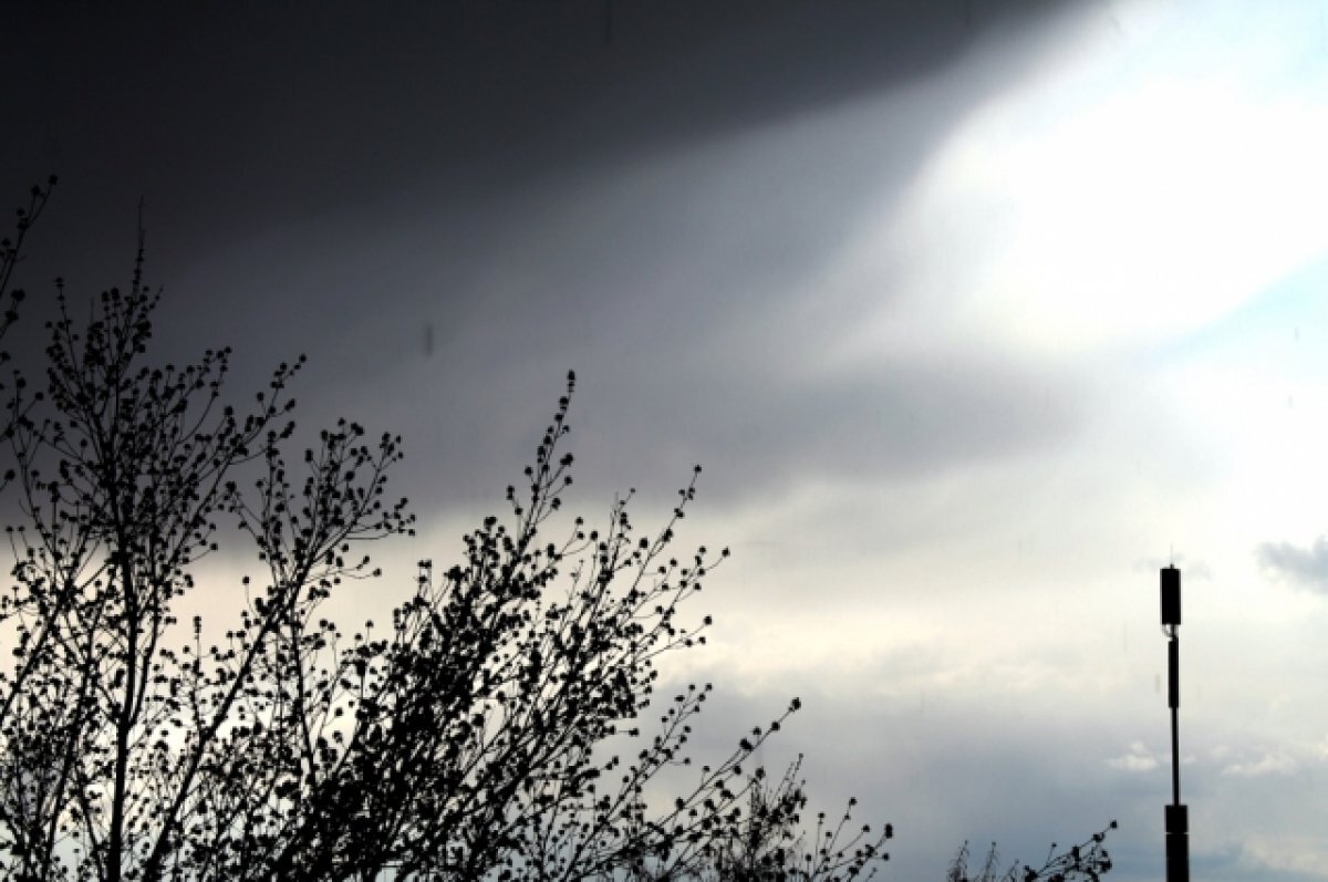    МЧС предупреждает жителей Новосибирска о грозе и сильном ветре 26 июля