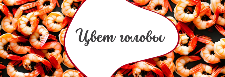 Важно знать причину необычного цветы головы креветки