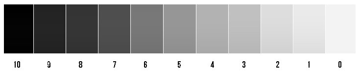 Фото собственность автора.