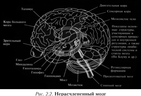 ПОДПИСАТЬСЯ НА РАССЫЛКУ