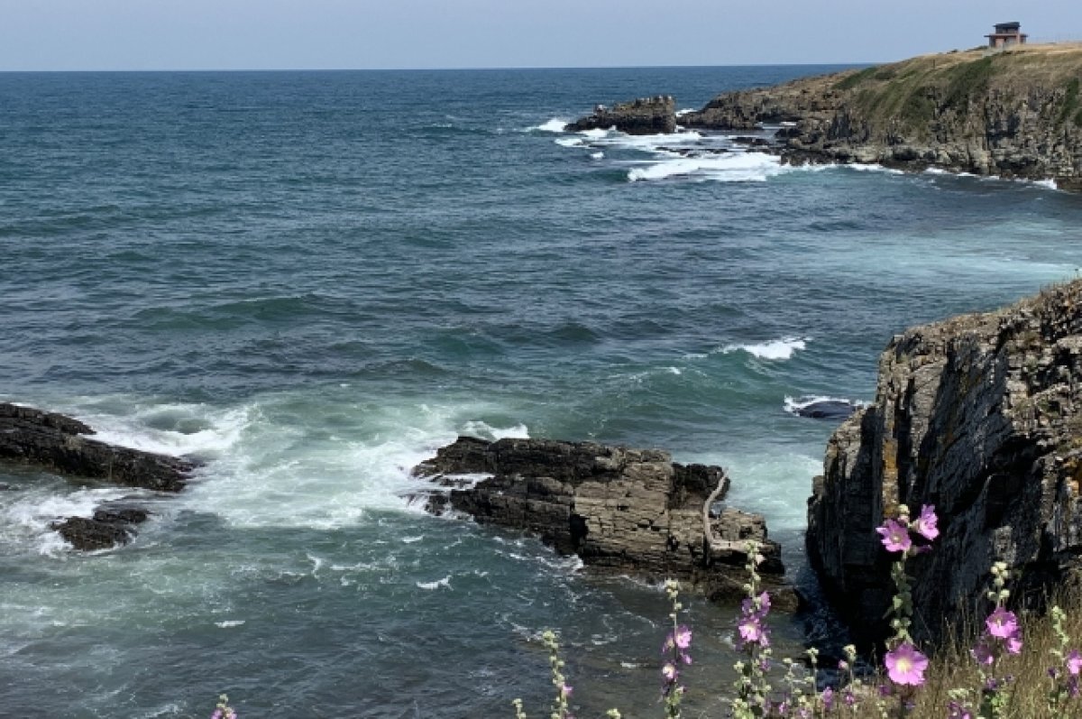    ФСБ пресекла попытку спецслужб Украины совершить теракт в Черном море