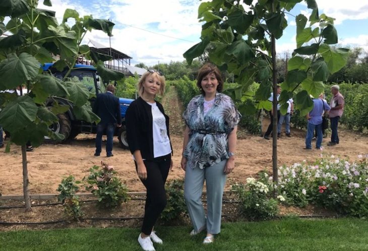    Виноградарство и хлопководство по новым технологиям и с новой техникой в Волгоградском ГАУ