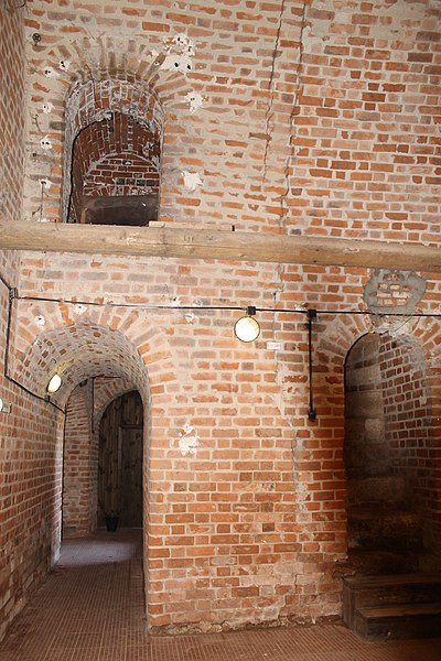 Фото Ольги Лисенковой: https://clck.ru/359GQS.