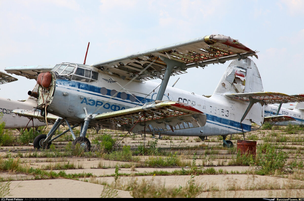 Поправки от читателей: про Ладогу, Ан-2, курилки и пожар в Ту-154 в Сургуте  | Советы мечтателям | Дзен