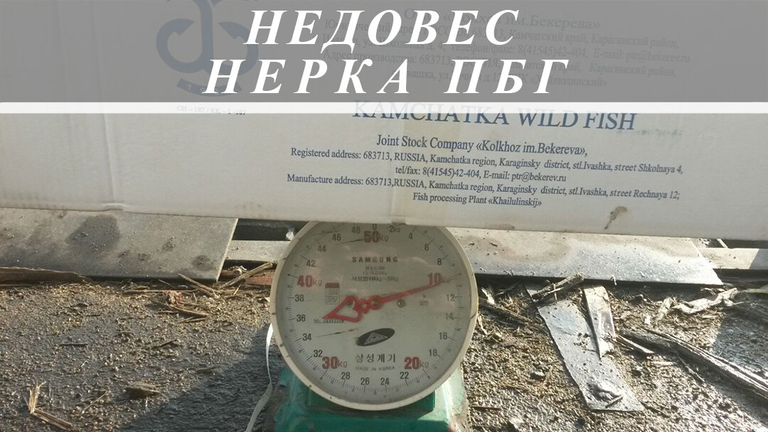 Тальман морепродуктов