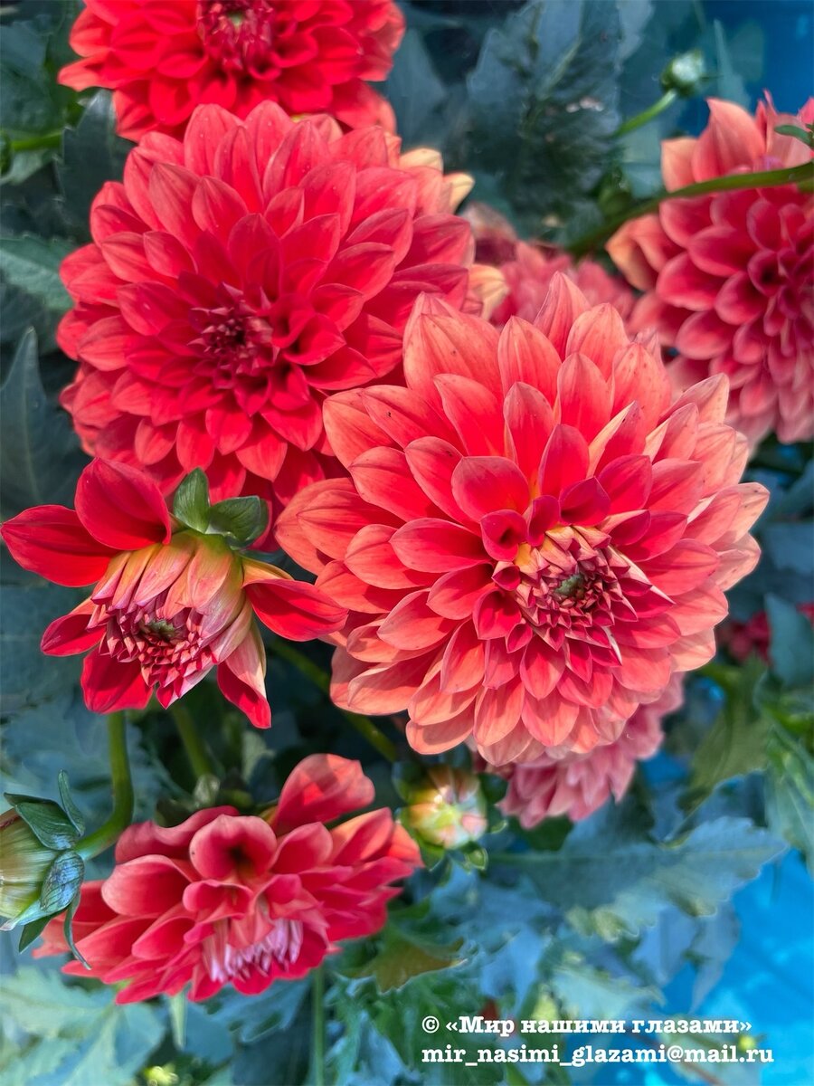 Фото из личного архива автора