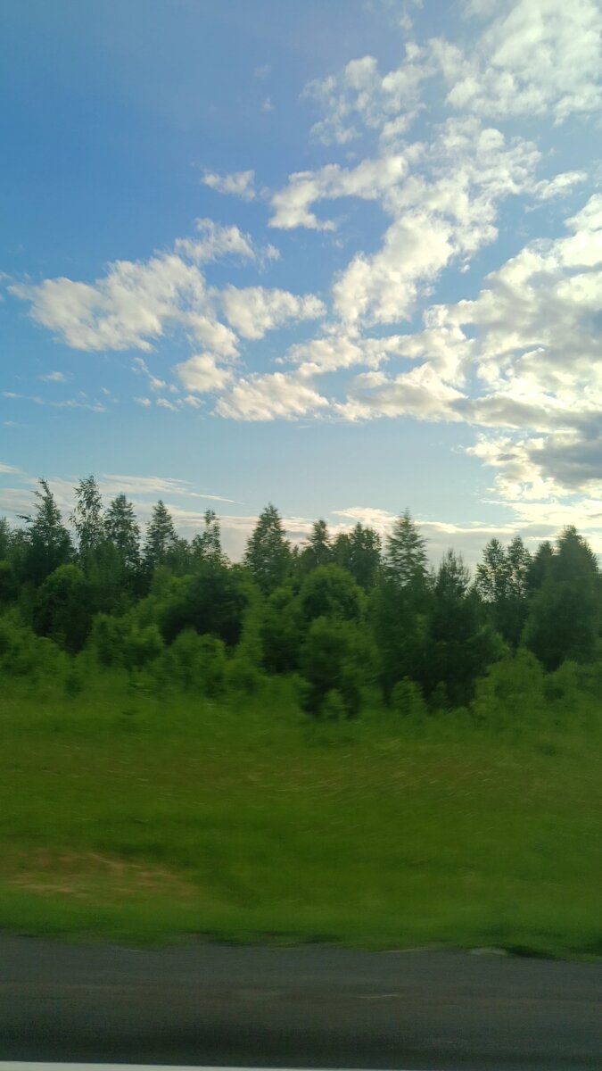 Фото автора статьи. 