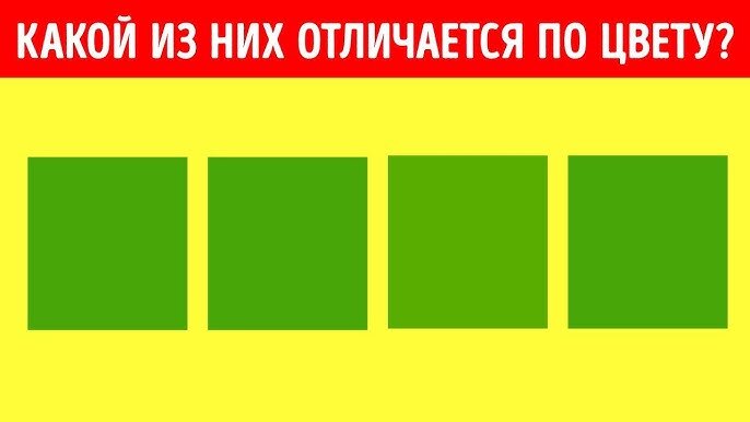 Источник www.storyblocks.com