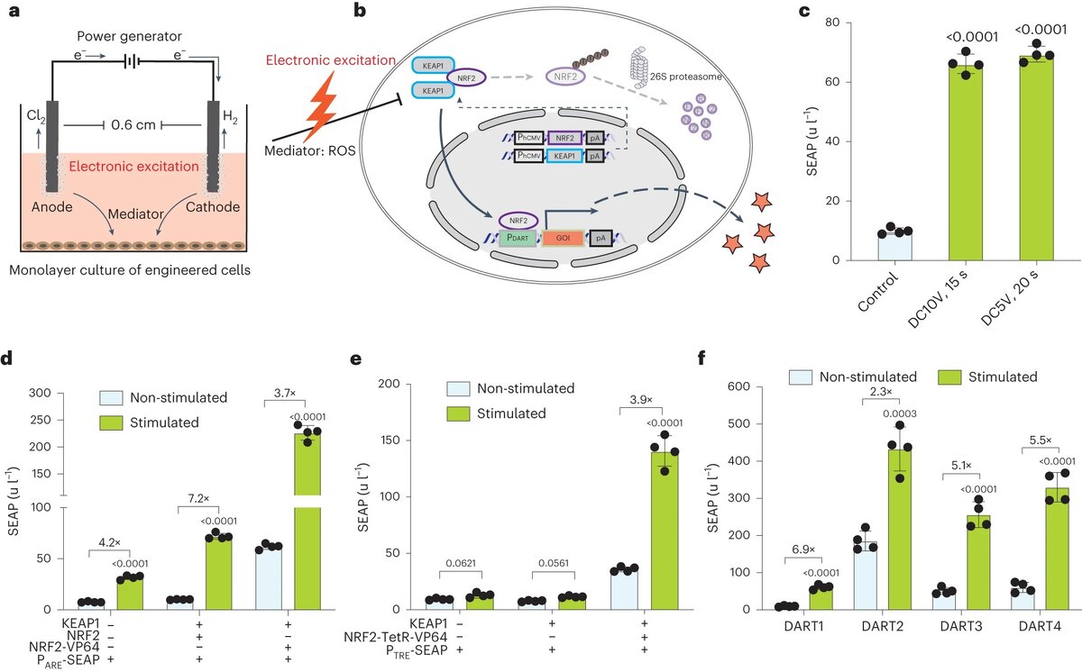   Jinbo Huang et al. / Nature Metabolism, 2023