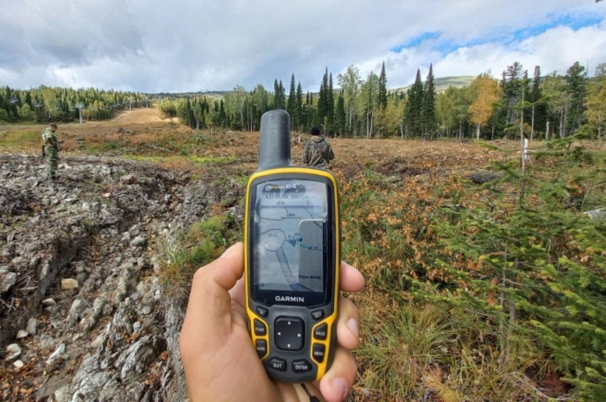    Незаконные рубки леса сейчас обнаруживают дистанционно.