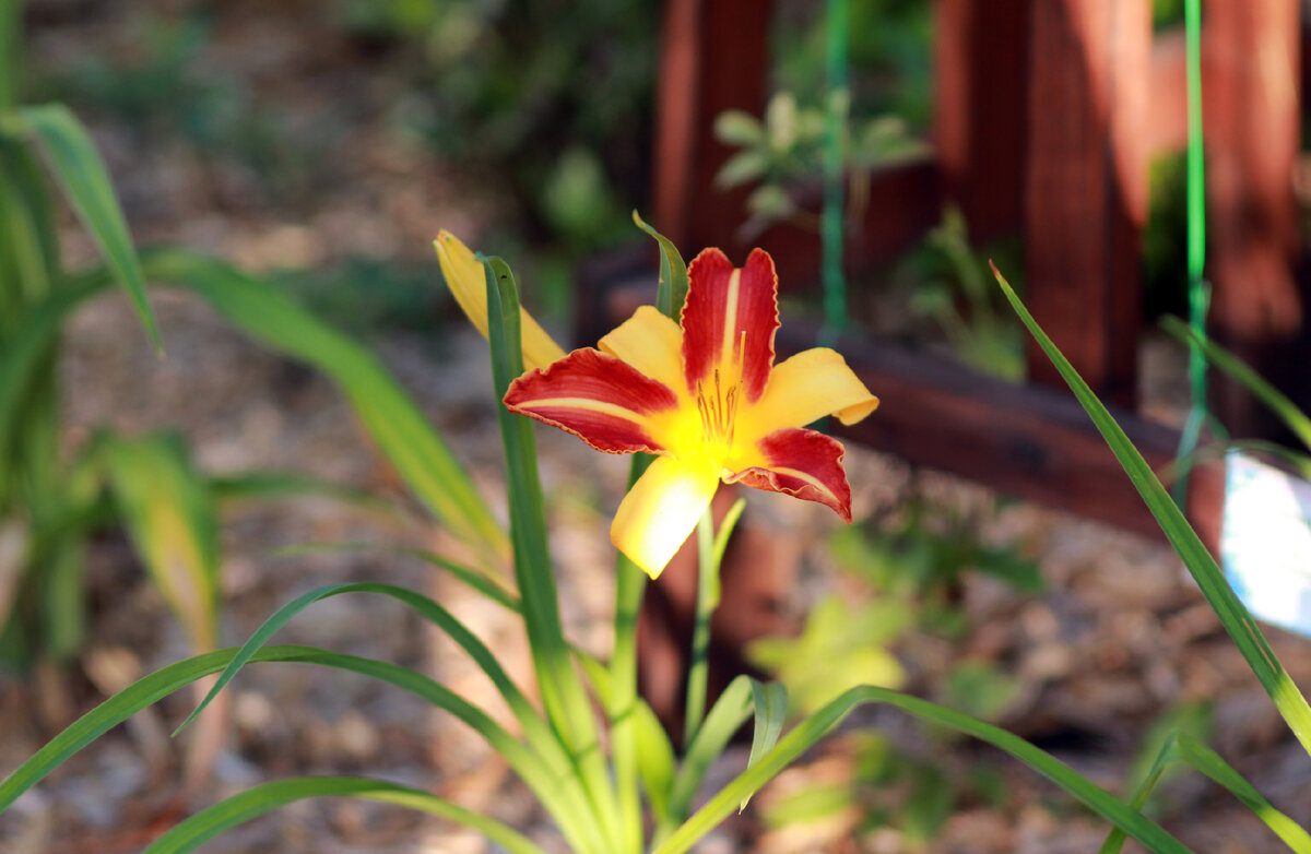 Листайте. Много фото