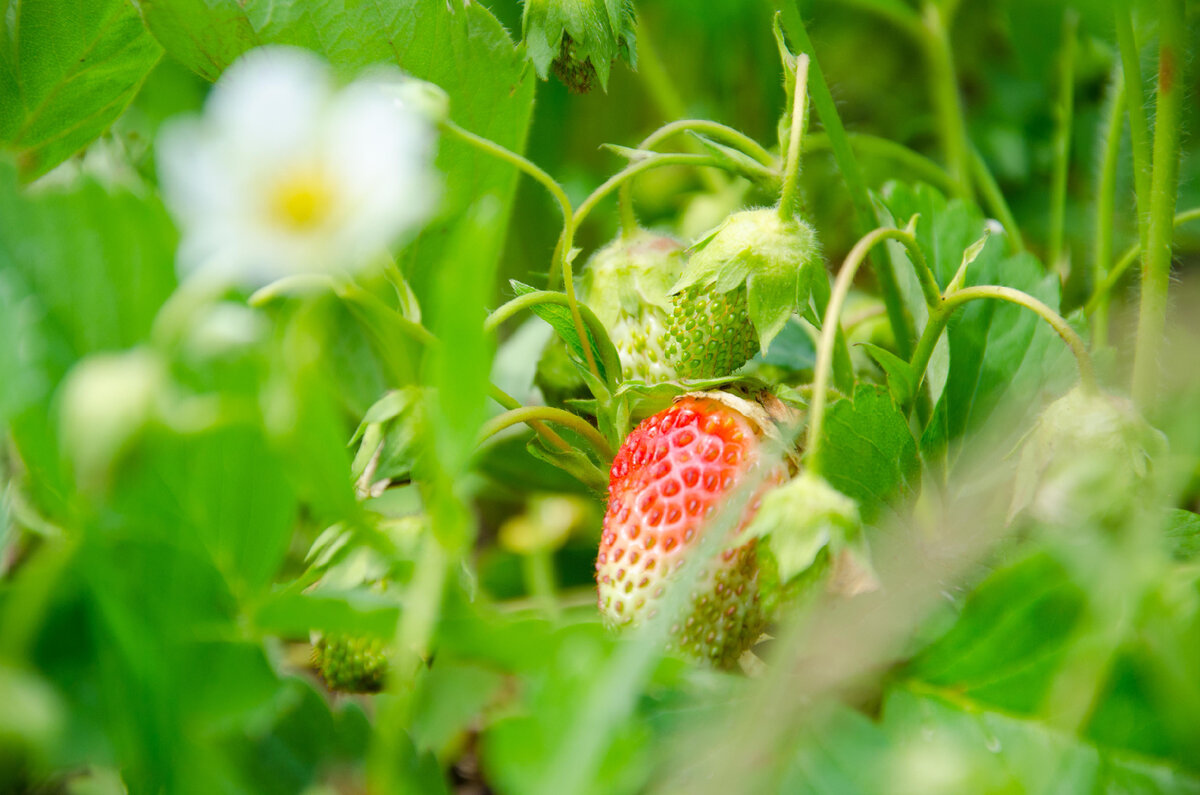 Сколько раз за последние весёленькие годы вы слышали об изобилии Вселенной? Это, конечно, так, но с поправочкой: она изобильна в плане жизни в рамках необходимого для достижения своего собственного Дзена (или Саньясы – как удобнее), то есть состояния целостности и любви (акцент: состояния любви, а не чувства!). А вот созданные человечеством элементы роскоши типа цацек, айфонов и тусовок под музло не предусмотрены.